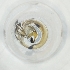  ( - RRHP_040_B6)  @11 [ ] by  Genome Research Ltd as Wellcome Sanger Institute Genome Research Limited operating as Wellcome Sanger Institute