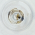  ( - RRHP_040_B8)  @11 [ ] by  Genome Research Ltd as Wellcome Sanger Institute Genome Research Limited operating as Wellcome Sanger Institute