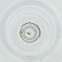  ( - RRHP_040_H1)  @11 [ ] by  Genome Research Ltd as Wellcome Sanger Institute Genome Research Limited operating as Wellcome Sanger Institute