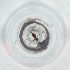  ( - RRHP_045_F11)  @11 [ ] by  Genome Research Ltd as Wellcome Sanger Institute Genome Research Limited operating as Wellcome Sanger Institute