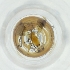  ( - RRHP_045_F5)  @11 [ ] by  Genome Research Ltd as Wellcome Sanger Institute Genome Research Limited operating as Wellcome Sanger Institute