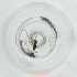  ( - RRHP_045_H11)  @11 [ ] by  Genome Research Ltd as Wellcome Sanger Institute Genome Research Limited operating as Wellcome Sanger Institute