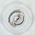  ( - RRHP_047_B6)  @11 [ ] by  Genome Research Ltd as Wellcome Sanger Institute Genome Research Limited operating as Wellcome Sanger Institute