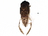  (Sigara lineata - BIOUG24018-C01)  @14 [ ] CreativeCommons - Attribution (2015) CBG Photography Group Centre for Biodiversity Genomics