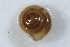  ( - BIOUG24022-B06)  @14 [ ] CreativeCommons - Attribution (2015) CBG Photography Group Centre for Biodiversity Genomics