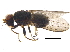  ( - BIOUG21767-A08)  @14 [ ] CreativeCommons - Attribution (2015) CBG Photography Group Centre for Biodiversity Genomics