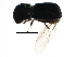  ( - BIOUG21769-C12)  @13 [ ] CreativeCommons - Attribution (2015) CBG Photography Group Centre for Biodiversity Genomics
