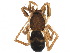  ( - BIOUG21773-F05)  @15 [ ] CreativeCommons - Attribution (2015) CBG Photography Group Centre for Biodiversity Genomics