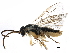 ( - BIOUG22289-H04)  @13 [ ] CreativeCommons - Attribution (2016) CBG Photography Group Centre for Biodiversity Genomics