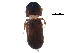  ( - BIOUG22354-C02)  @14 [ ] CreativeCommons - Attribution (2015) CBG Photography Group Centre for Biodiversity Genomics