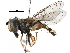  ( - BIOUG22360-B11)  @14 [ ] CreativeCommons - Attribution (2016) CBG Photography Group Centre for Biodiversity Genomics