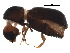  ( - BIOUG22422-C05)  @14 [ ] CreativeCommons - Attribution (2015) CBG Photography Group Centre for Biodiversity Genomics