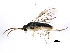  ( - BIOUG22569-H08)  @13 [ ] CreativeCommons - Attribution (2016) CBG Photography Group Centre for Biodiversity Genomics