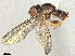  ( - BIOUG22241-H10)  @11 [ ] CreativeCommons - Attribution Share - Alike (2025) CBG Photography Group Centre for Biodiversity Genomics