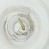  (Claspettomyia sp. MJ4 - RRNW_018_A5)  @11 [ ] by (2023) Genome Research Ltd as Wellcome Sanger Institute Genome Research Limited operating as Wellcome Sanger Institute