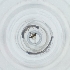 ( - RRNW_107_D10)  @11 [ ] by (2023) Genome Research Ltd as Wellcome Sanger Institute Genome Research Limited operating as Wellcome Sanger Institute