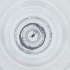  ( - RRNW_116_F9)  @11 [ ] by (2023) Genome Research Ltd as Wellcome Sanger Institute Genome Research Limited operating as Wellcome Sanger Institute