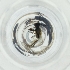  ( - RRNW_118_B4)  @11 [ ] by (2023) Genome Research Ltd as Wellcome Sanger Institute Genome Research Limited operating as Wellcome Sanger Institute