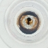  ( - RRNW_139_D9)  @11 [ ] by  Genome Research Ltd as Wellcome Sanger Institute Genome Research Limited operating as Wellcome Sanger Institute