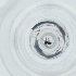 ( - RRNW_156_F3)  @11 [ ] by  Genome Research Ltd as Wellcome Sanger Institute Genome Research Limited operating as Wellcome Sanger Institute