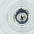  ( - RRNW_167_B8)  @11 [ ] by  Genome Research Ltd as Wellcome Sanger Institute Genome Research Limited operating as Wellcome Sanger Institute