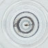  ( - RRNW_169_F6)  @11 [ ] by  Genome Research Ltd as Wellcome Sanger Institute Genome Research Limited operating as Wellcome Sanger Institute