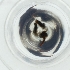  ( - RRNW_174_D4)  @11 [ ] by  Genome Research Ltd as Wellcome Sanger Institute Genome Research Limited operating as Wellcome Sanger Institute