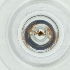  ( - RRNW_174_H3)  @11 [ ] by  Genome Research Ltd as Wellcome Sanger Institute Genome Research Limited operating as Wellcome Sanger Institute