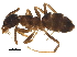  ( - BIOUG23419-A09)  @15 [ ] CreativeCommons - Attribution (2015) CBG Photography Group Centre for Biodiversity Genomics