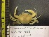  ( - RSS0003)  @11 [ ] CreativeCommons - Attribution Non-Commercial Share-Alike (2017) Moritz Sonnewald Senckenberg Naturmuseum Frankfurt