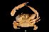  ( - RSS0033)  @11 [ ] CreativeCommons - Attribution Non-Commercial Share-Alike (2016) Vassiliy Spiridonov P.P. Shirshov Institute of Oceanology, Moscov