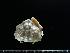  ( - RSS0373)  @11 [ ] Copyright (2017) Moritz Sonnewald Senckenberg Research Institute