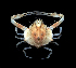  (Nursilia - RSS0423)  @11 [ ] Copyright (2017) Sergei Anosov P. P Shirshov Institute of Oceanology