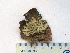  ( - CCDB-23968-A03)  @11 [ ] CreativeCommons - Attribution (2016) CBG Photography Group Centre for Biodiversity Genomics