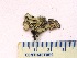  ( - CCDB-23968-B03)  @11 [ ] CreativeCommons - Attribution (2016) CBG Photography Group Centre for Biodiversity Genomics