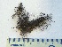  ( - CCDB-23968-B10)  @11 [ ] CreativeCommons - Attribution (2016) CBG Photography Group Centre for Biodiversity Genomics