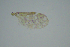  ( - RUSY1)  @11 [ ] Copyright (2024) Unspecified Ramkhamhaeng University