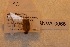  ( - ANVA-0066)  @11 [ ] CreativeCommons - Attribution Non-Commercial Share-Alike (2018) Heikki Roininen University of Eastern Finland