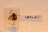  ( - ANVA-0067)  @11 [ ] CreativeCommons - Attribution Non-Commercial Share-Alike (2018) Heikki Roininen University of Eastern Finland