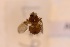  ( - ANVA-0067)  @11 [ ] CreativeCommons - Attribution Non-Commercial Share-Alike (2018) Heikki Roininen University of Eastern Finland