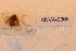  ( - ANVA-0068)  @11 [ ] CreativeCommons - Attribution Non-Commercial Share-Alike (2018) Heikki Roininen University of Eastern Finland