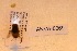  ( - ANVA-0069)  @12 [ ] CreativeCommons - Attribution Non-Commercial Share-Alike (2018) Heikki Roininen University of Eastern Finland