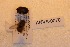  ( - ANVA-0070)  @12 [ ] CreativeCommons - Attribution Non-Commercial Share-Alike (2018) Heikki Roininen University of Eastern Finland