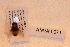  ( - ANVA-0071)  @11 [ ] CreativeCommons - Attribution Non-Commercial Share-Alike (2018) Heikki Roininen University of Eastern Finland