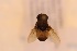 ( - ANVA-0071)  @11 [ ] CreativeCommons - Attribution Non-Commercial Share-Alike (2018) Heikki Roininen University of Eastern Finland