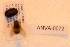  ( - ANVA-0072)  @11 [ ] CreativeCommons - Attribution Non-Commercial Share-Alike (2018) Heikki Roininen University of Eastern Finland