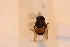  ( - ANVA-0073)  @11 [ ] CreativeCommons - Attribution Non-Commercial Share-Alike (2018) Heikki Roininen University of Eastern Finland
