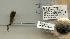  ( - 11TVCAD-040)  @11 [ ] Unspecified (default): All Rights Reserved  Unspecified Unspecified