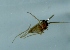  ( - TVTRI0101)  @12 [ ] Unspecified (default): All Rights Reserved  Unspecified Unspecified