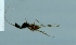  ( - TVTRI0110)  @12 [ ] Unspecified (default): All Rights Reserved  Unspecified Unspecified